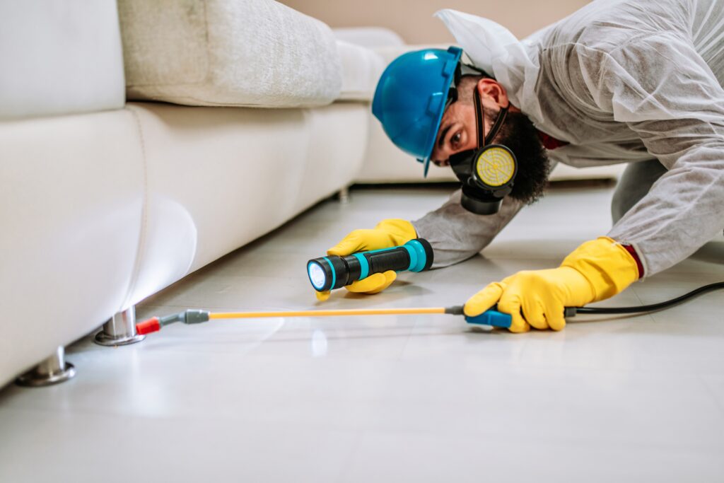 Diamond Bar Termite Control