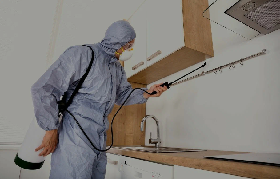 Diamond Bar pest managment